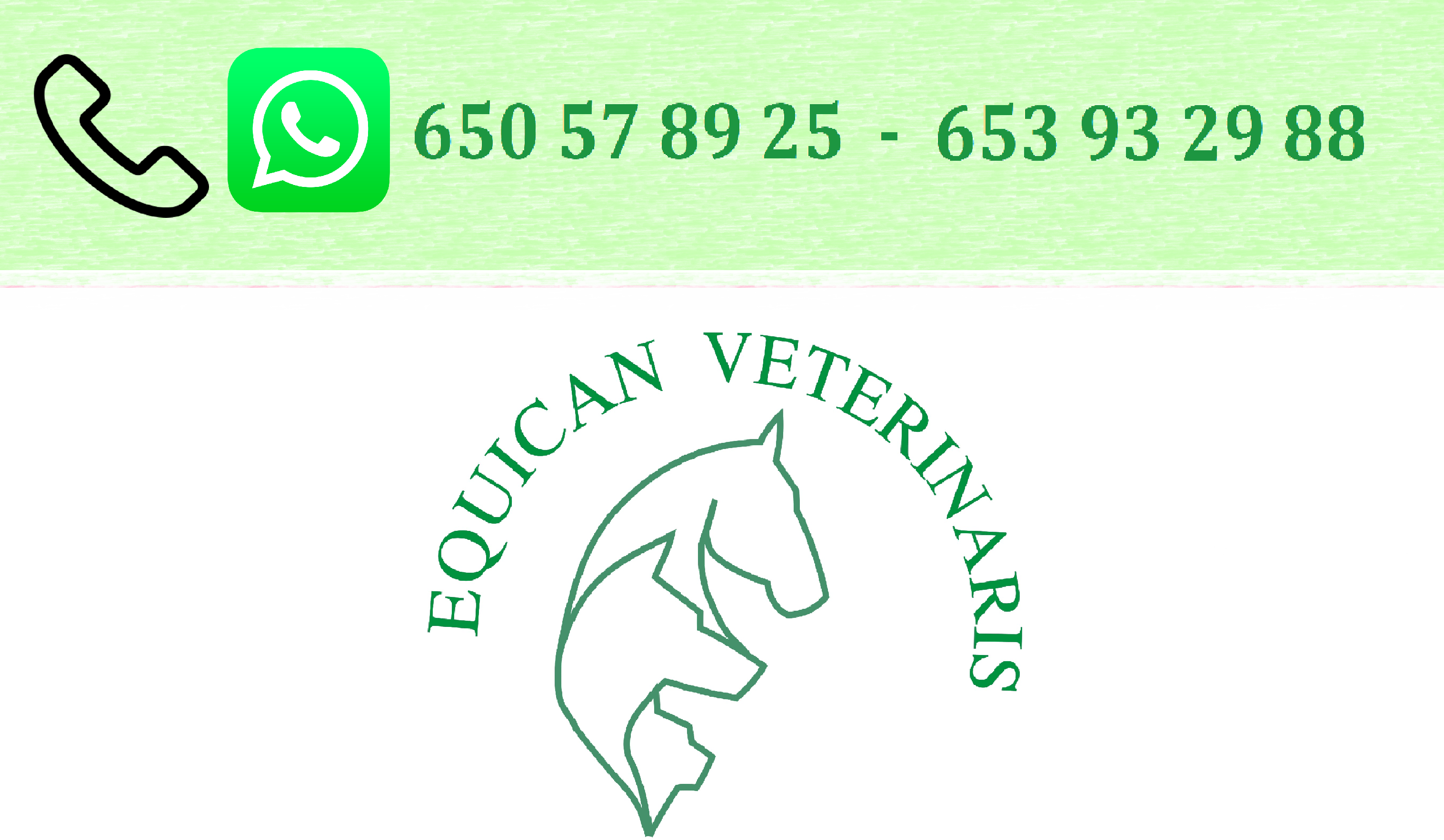 Equican Veterinaris (Clinica Veterinaria Calafell)